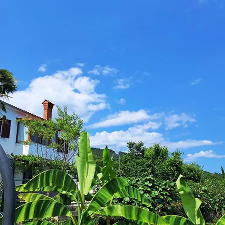 Casa de Férias Kuca Draga - Nono *