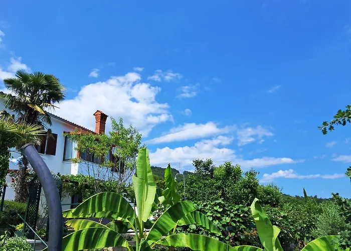 Holiday home Kuca Draga - Nono *